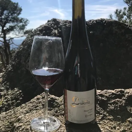 Chez Josephine - Les Cles Des Vignes アパート Dambach