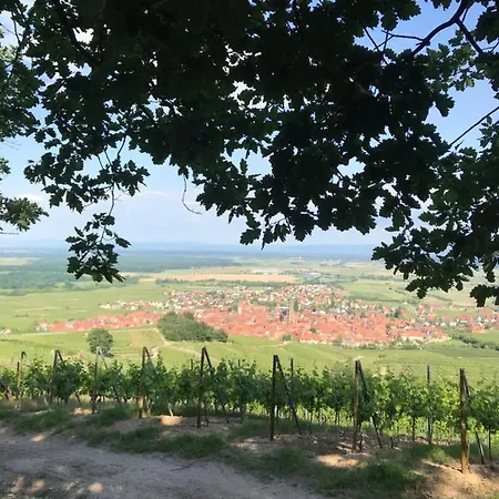 Chez Josephine - Les Cles Des Vignes アパート Dambach